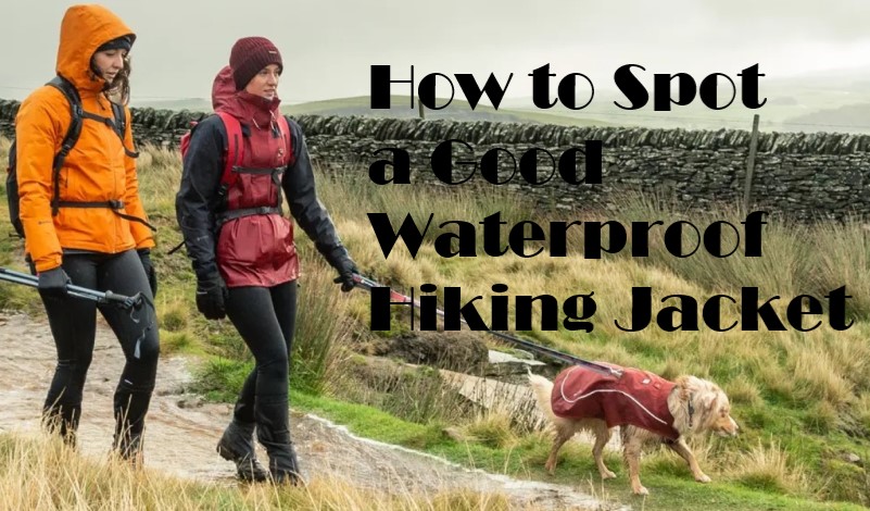 How to Spot a Good Waterproof Hiking Jacket